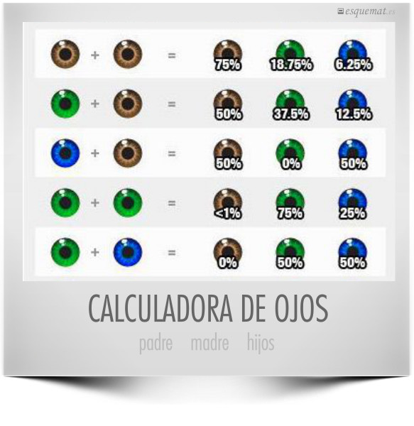 CALCULADORA DE OJOS