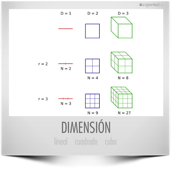 DIMENSIÓN