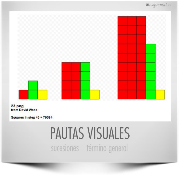 PAUTAS VISUALES